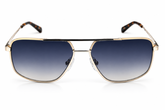 Gold Frame Sunglasses with Gradient Lenses for Men